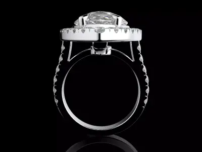 Gold N1580 3D print model