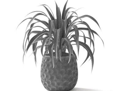 Spider Plant II 3D model