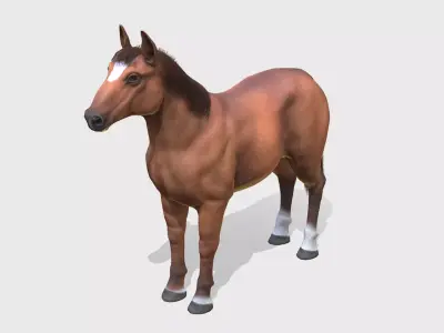 Horse - Stallion Low-poly 3D model