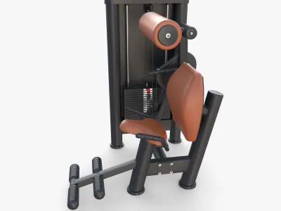 Lower back machine 3D model