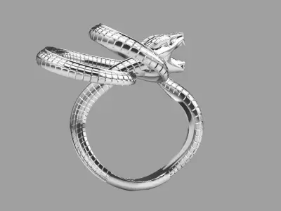 snake ring1 3D print model