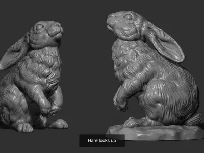 Rabbit and hare collection