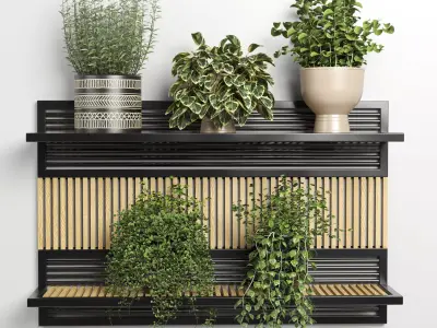 collection Indoor plant vase handmade pottery plant shelf 02 3D model