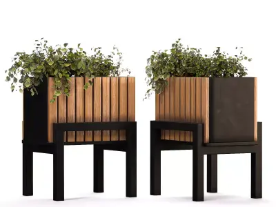 Plant Set 13 3D model