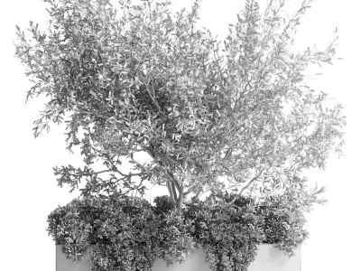 Concrete Box Plants on stand - indoor plant set 432 Low-poly 3D model