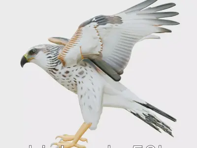 Bionic Miniature Eagle with Photon Wings and Precision Cameras Low-poly 3D model