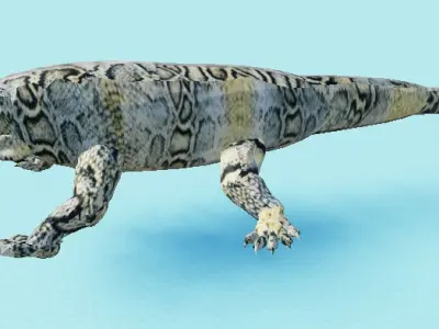 lizard model Low-poly 3D model