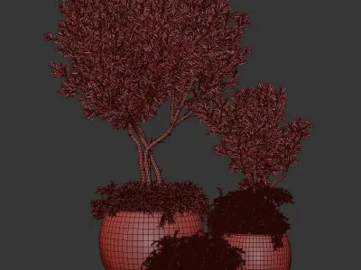 Outdoor Plants tree 03 3D model