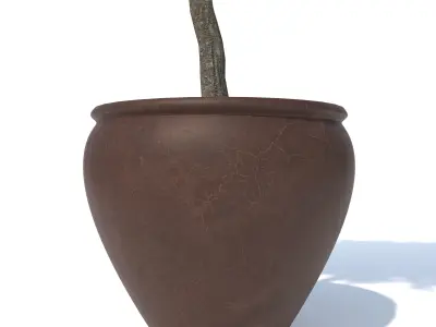 Orange-Tree-N1 3D model