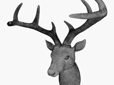 Deer head 3D model