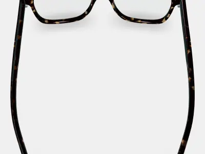 Chamberlain Eyeglasses in Whiskey Tortoise 3D model