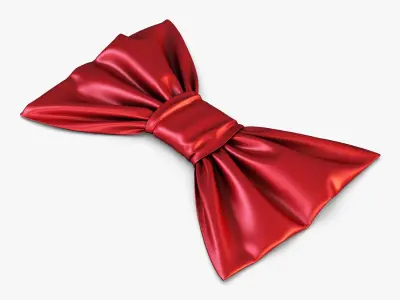 Bow Tie 3D model