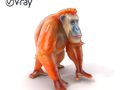 Orangutan Serenity Model Pack Low-poly 3D model