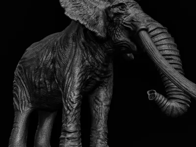ELEPHANT with tusks Low-poly 3D model order
