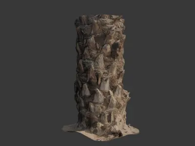 Palm Tree Trunk 3D Scan Low-poly 3D model