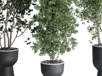 indoor plant set 380 tree bush concrete dirt vase Low-poly 3D model