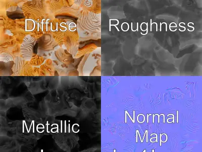 Chambered Nautilus Shell with Intricate Spirals 3D Model Low-poly 3D model