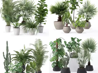 20 Photorealistic Flowers for Interiors - set 126 131 140 139 3D Model Collection