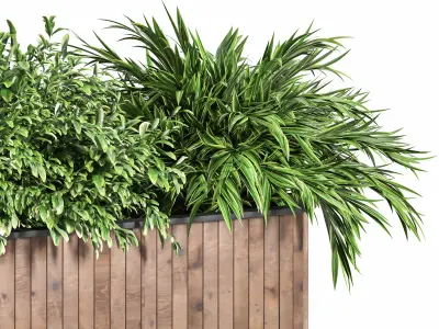 Indoor Plant Set 15 3D model