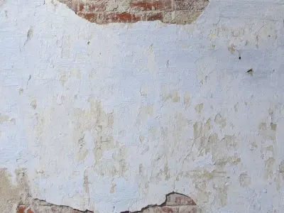  plaster 164 Texture