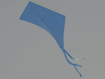 Wind Kite 3D model