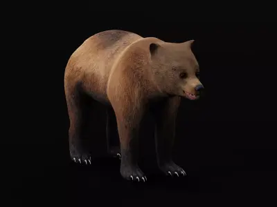 Young Brown Bear Low-poly 3D model