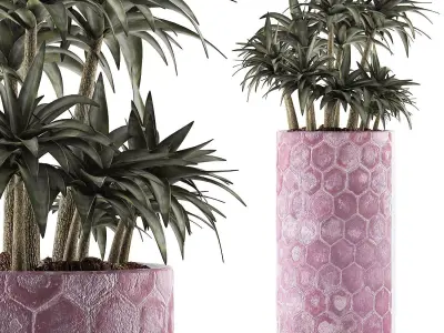 Plants Collection 115 3D model
