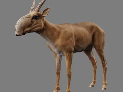 Saiga Antelope With Bone Low-poly 3D model