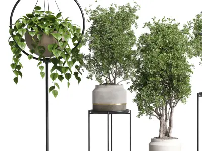 pot plant standing and hanging pot - wall plant set 386 Low-poly 3D model