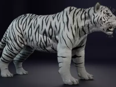 White Tiger realitic Low-poly 3D model