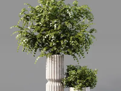 Collection Indoor Plants 019 3D model