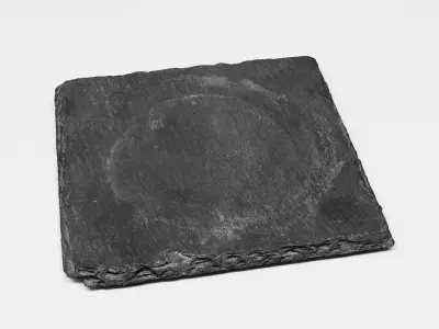 Slate Coasters 1 3D model
