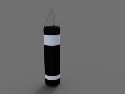 Punching Bag  Free 3D model