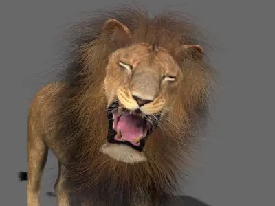 MAjestic Lion - 3d model 3D model