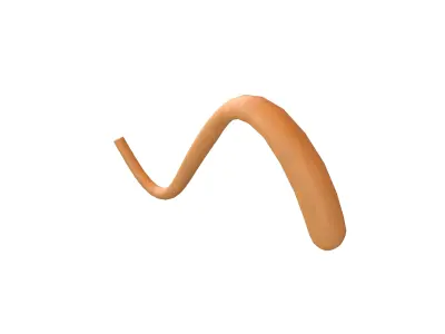 Cat Tail v1 004 Low-poly 3D model