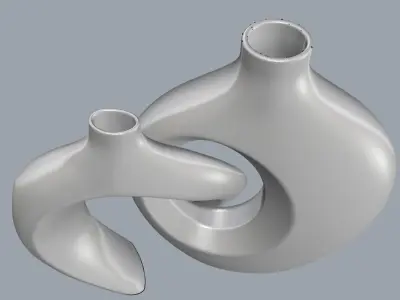 Double Vase 3D Model 3D print model
