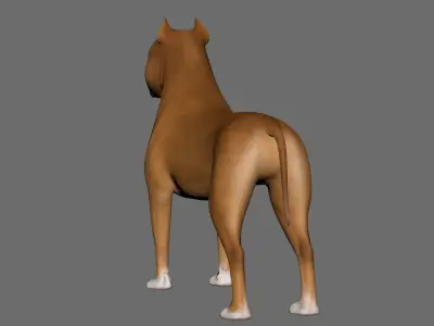Dog  American Staffordshire Terrier Low-poly 3D model