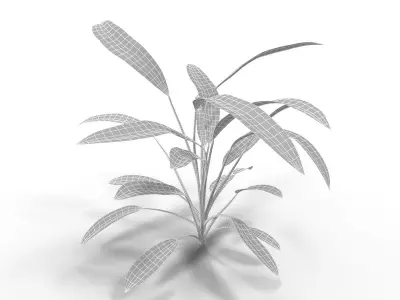 Set of aquarium plants 3D model
