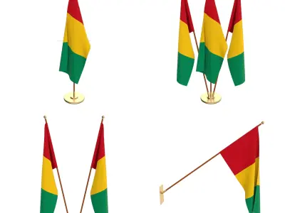 Guinea Flag Pack 3D model