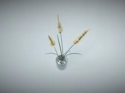Reed Decoration 3D model