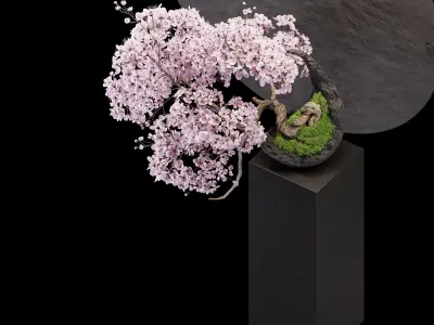 Bonsai sakura Low-poly 3D model