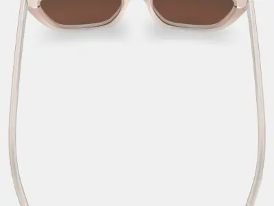 Janelle Sunglasses in Praline 3D model