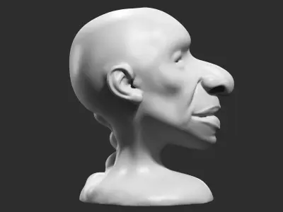 human head modern sculpture 3d print model 106 3D print model