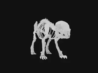 Hedgehog skeleton 3D model