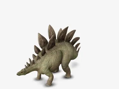 Stegosaurus 3D model