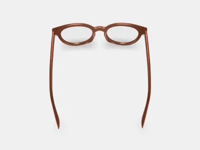 Taye Eyeglasses in Buckwheat 3D model