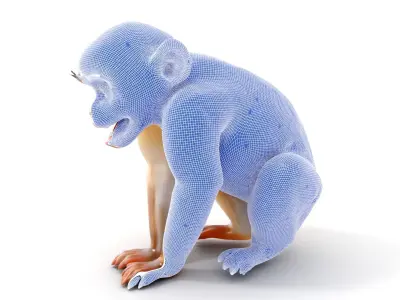 Baby Monkey D Model Pack  Realistic and Detailed Low-poly 3D model