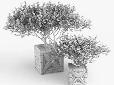 Tropical bush Low-poly 3D model