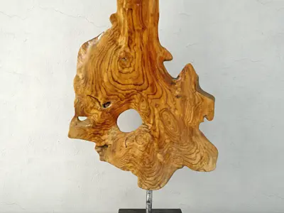 Teak Wood Table Top Decoration 3D model