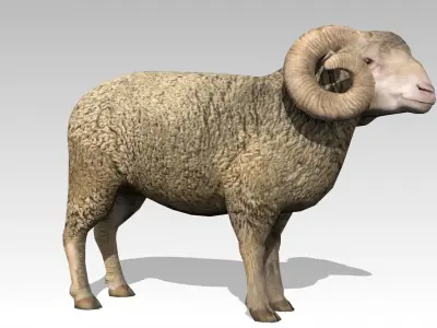 Ram Animated Low-poly 3D model